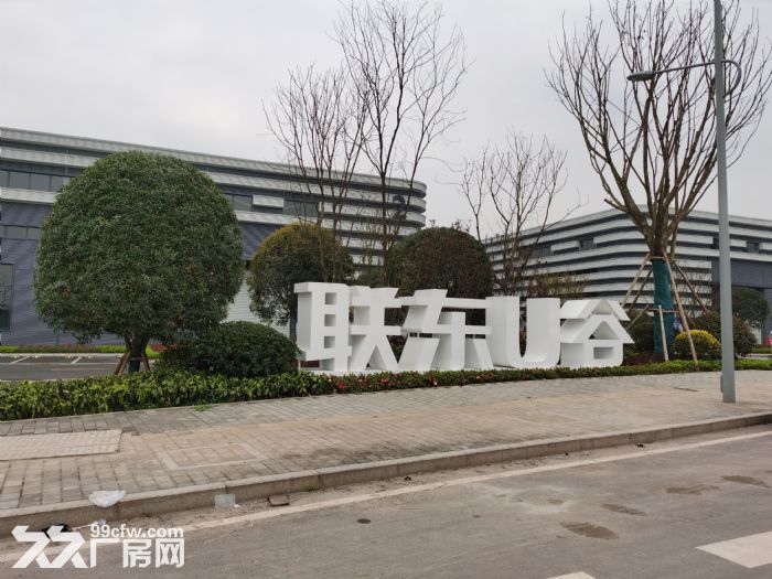 重庆高新区科学城核心区域 优质单层钢构厂房 带行车 1400平-图4