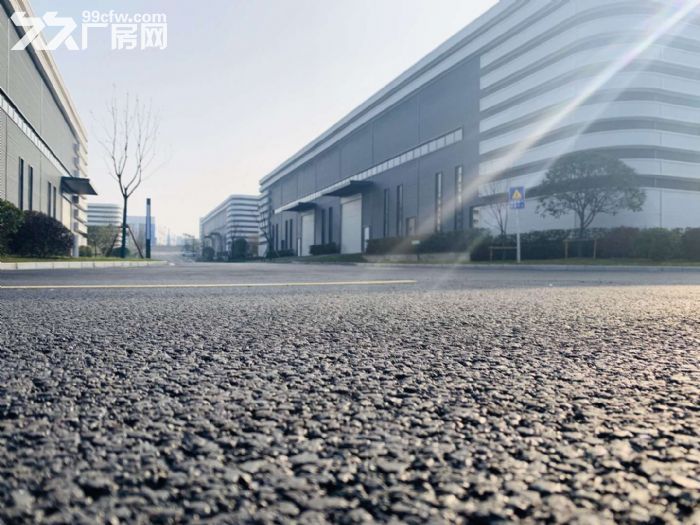 出租 出售 高新区 全新 单层钢构厂房-图3