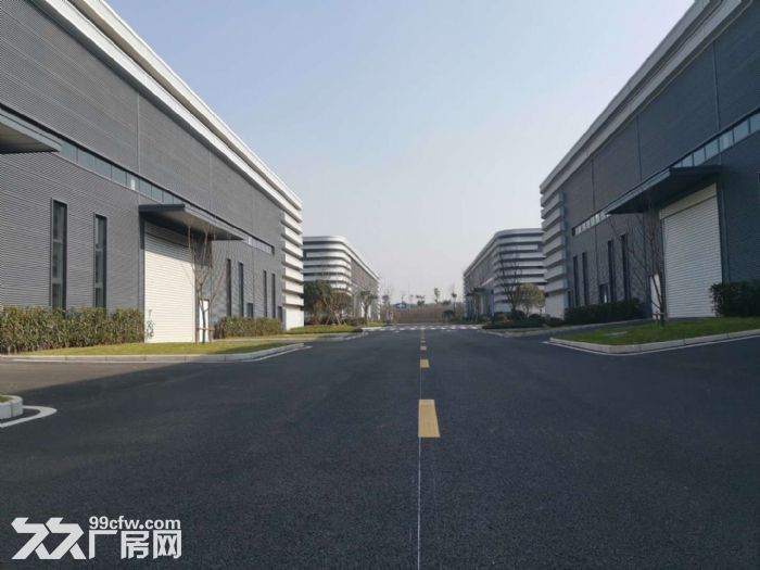 出租 出售 高新区 全新 单层钢构厂房-图4