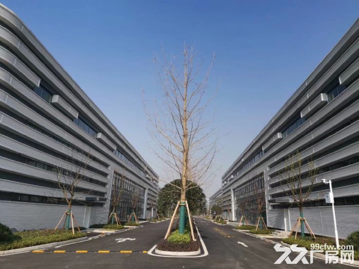 高端大气  商业住宿齐全  精装单层钢构厂房  现房出租-图1
