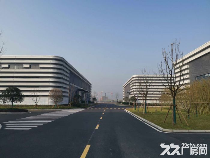 高端大气  商业住宿齐全  精装单层钢构厂房  现房出租-图6