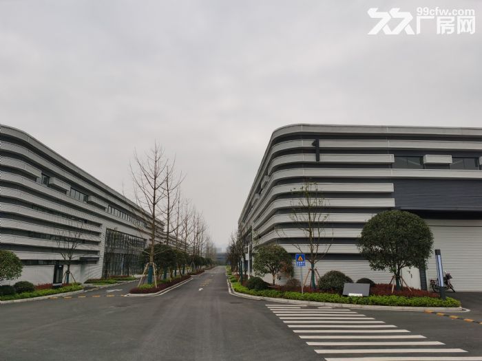 高端大气 精装单层标准厂房招商 智能制造研发 1450平起-图1
