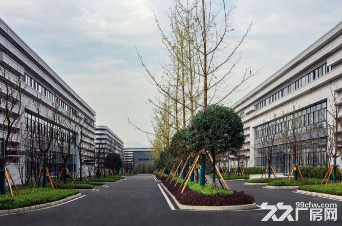 (出租) 精 高新园区 大学城 单层精装厂房11米 享租金装修设备补贴-图2