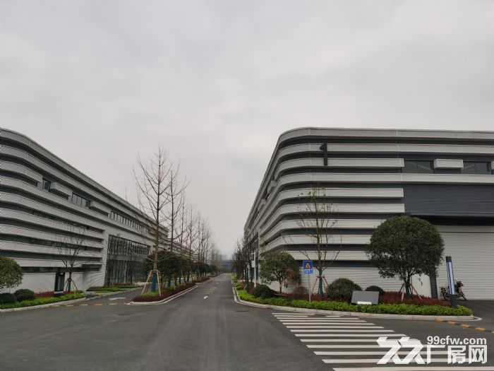 (出租) 精 高新园区 大学城 单层精装厂房11米 享租金装修设备补贴-图6