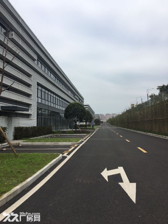 高端大气上档次 全新标准厂房 1500平 厂办一体 低首付可按揭十年-图4