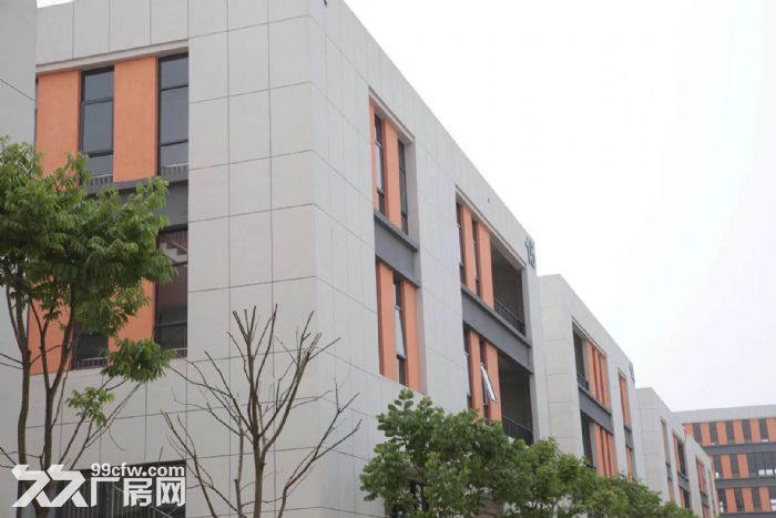 重庆高新区两层独栋厂房 送露台送配电-图2