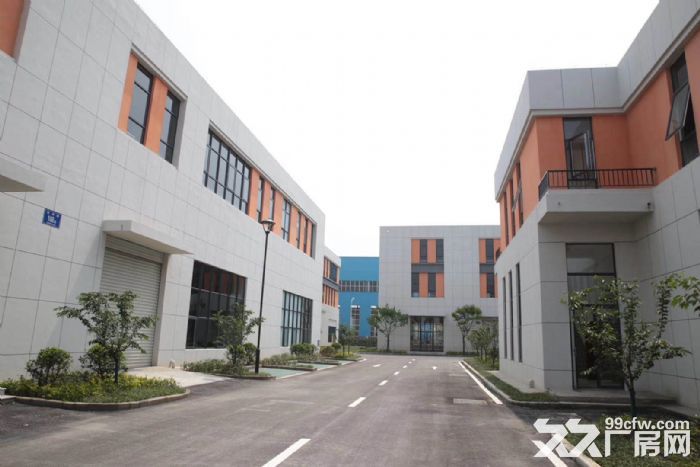 高新区独栋厂房出售 可按揭/可定制-图5