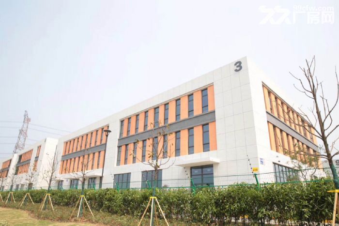 高新区独栋厂房出售 可按揭/可定制-图6