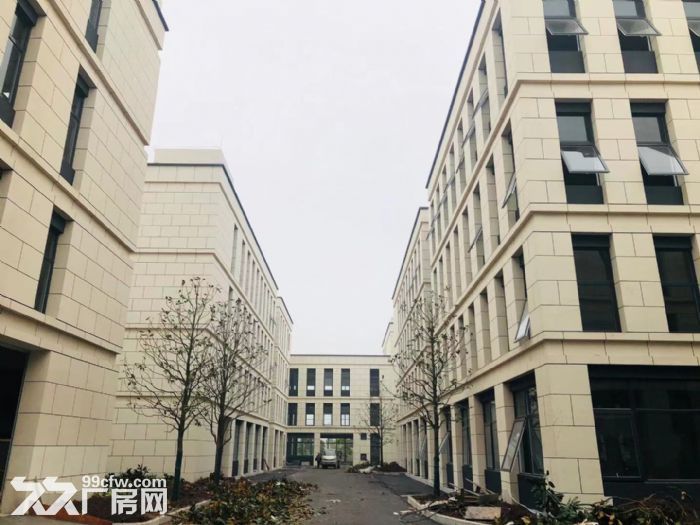 主城唯一双层独栋标准厂房，500至4000平，近蔡家-图2
