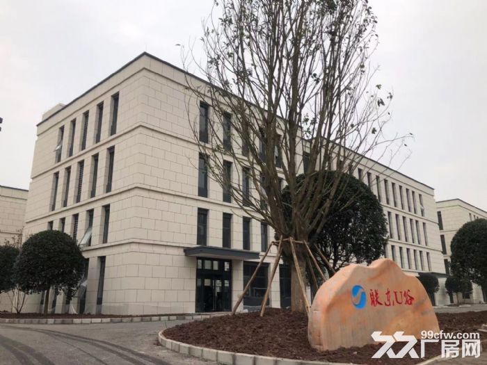 主城唯一双层独栋标准厂房，500至4000平，近蔡家-图4