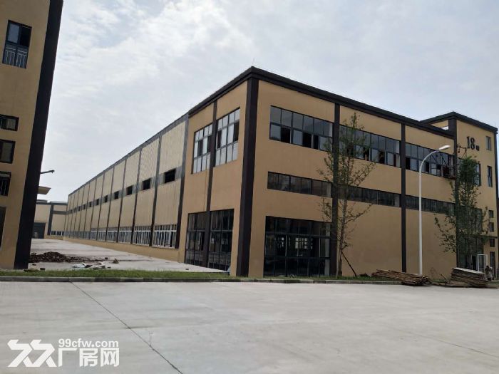 租售单层12米带庭院独栋厂房-图2