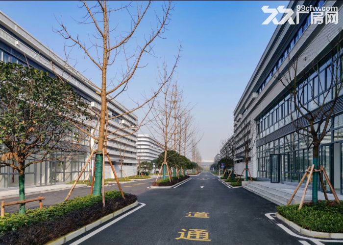 出租 巴南 界石 单层 钢结构厂房 价格便宜-图1