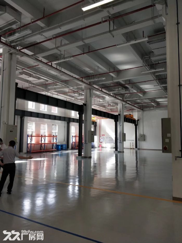 出租 巴南 界石 单层 钢结构厂房 价格便宜-图3