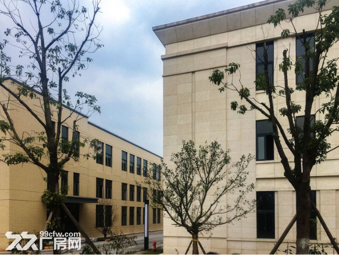 租售 巴南界石 优质 稀缺 独栋厂房 赠送超大露台-图7