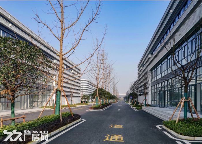 急租 沙坪坝 工业厂房 层高10米 价格面议-图1