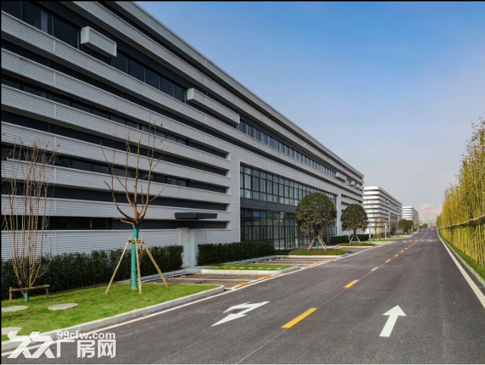急租 沙坪坝 工业厂房 层高10米 价格面议-图2