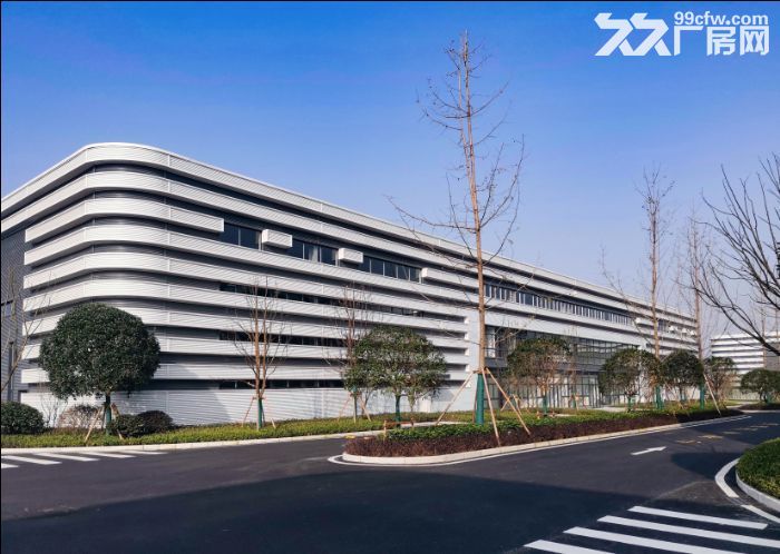 急租 沙坪坝 工业厂房 层高10米 价格面议-图4