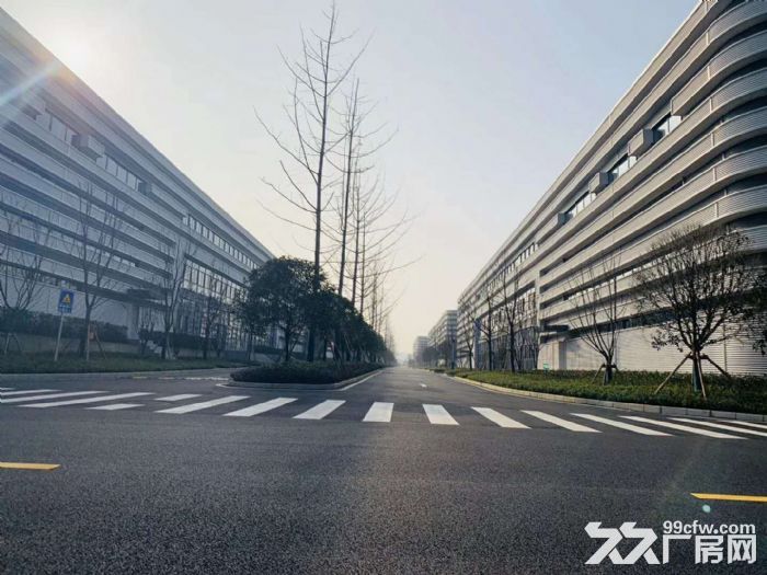 出售巴南区工业园区 工业用地 有产权证-图2
