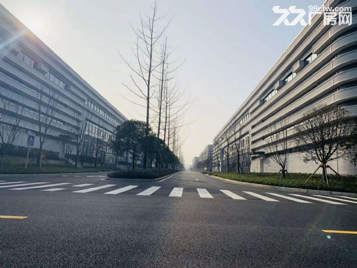 出租主城区内环旁标准钢结构行车厂房，可分租-图2