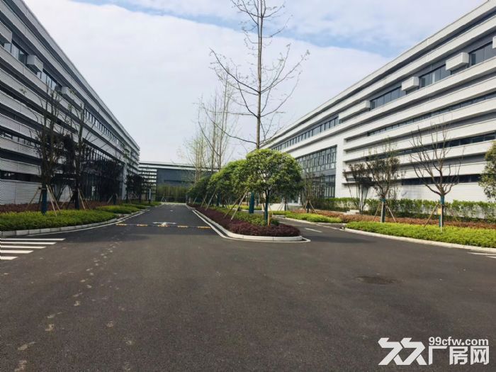 出租主城区内环旁标准钢结构行车厂房，可分租-图3