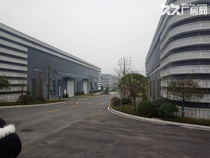 出租主城区内环旁标准钢结构行车厂房，可分租-图6