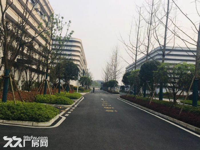 出租主城区内环旁标准钢结构行车厂房，可分租-图8