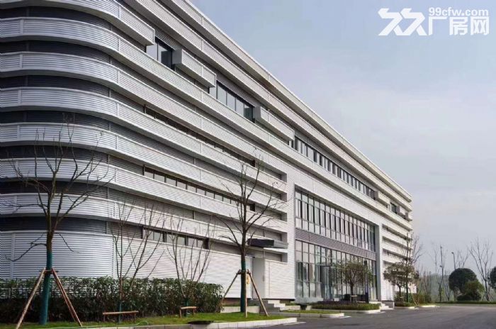 租售渝北机场附近独栋标准厂房2000平-图5