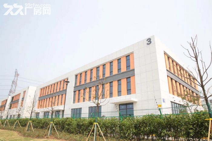 别墅级独栋厂房[可按揭、可定制]区位、价格优-图6