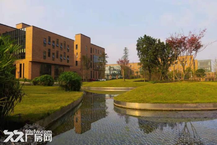 8.1米高框架独栋 办公生产一体 厂房带食堂和员工宿舍-图1