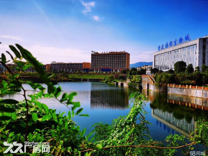 高新区独栋研发办公厂房 50年产权 首付三成 贷款十年-图3