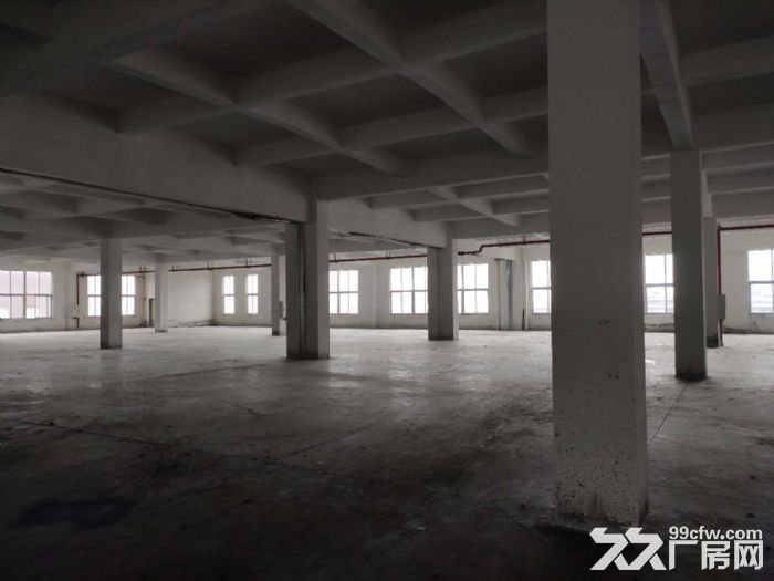 两江新区北碚蔡家工业园独栋3000平厂房出租-图3