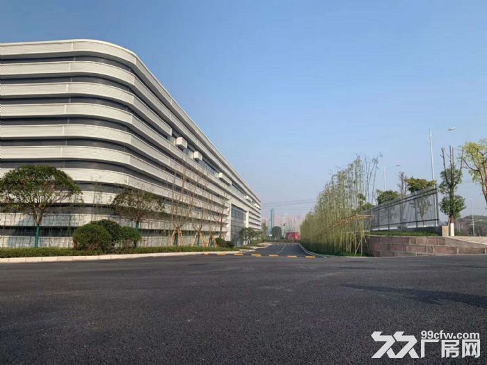 租售主城区内单层钢结构厂房20000平，可分租-图3