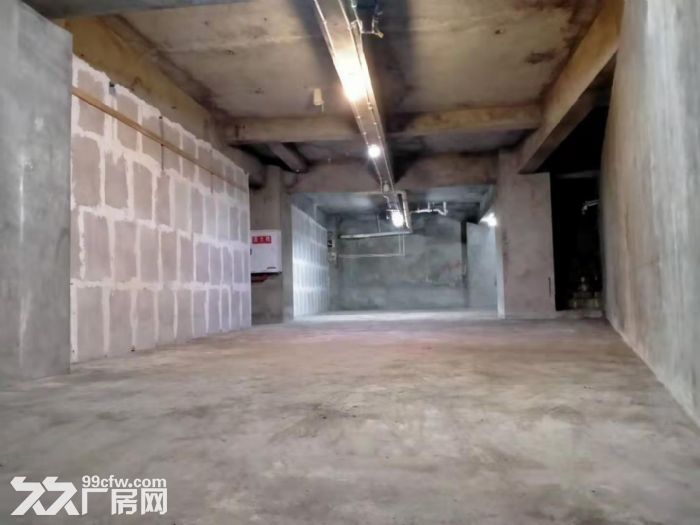 马云南坪永辉正对面主干道旁动力电门面+仓库+厂房-图7