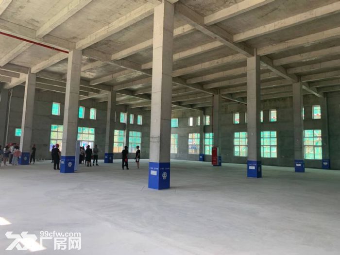 出租售 面积灵活 1000㎡起 独立产权 标准厂房-图3