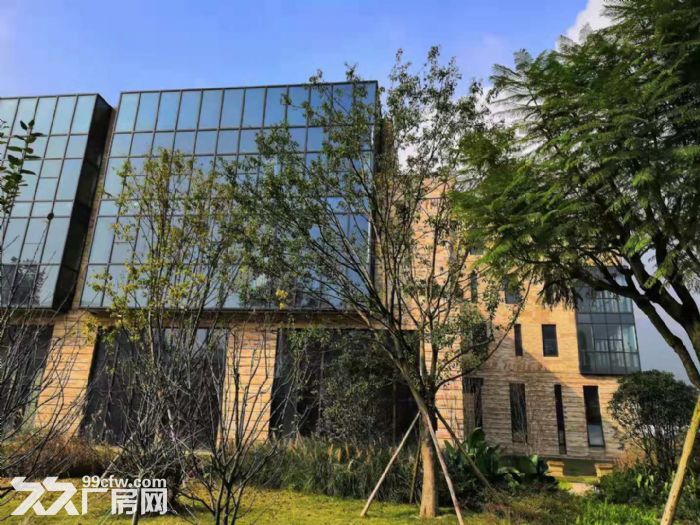 天海星两江数码工坊12000平厂房出租-图1