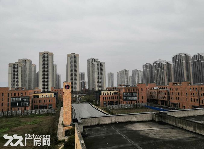 天海星两江数码工坊12000平厂房出租-图6