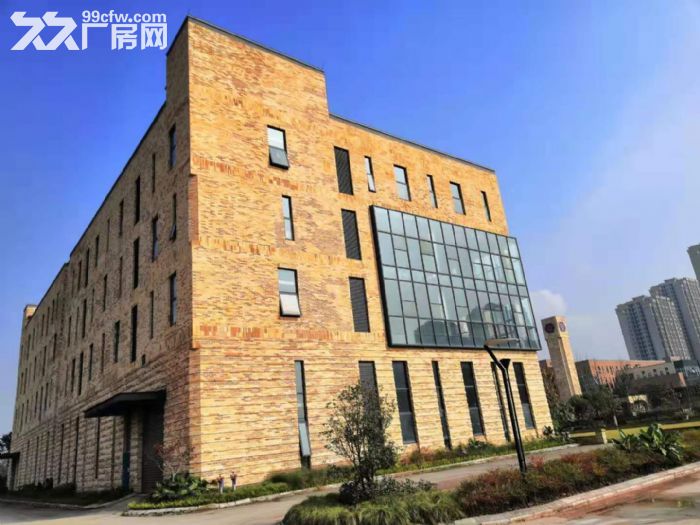 天海星两江数码工坊12000平厂房出租-图8