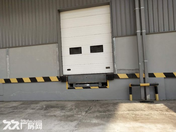 珞璜工业园B区标准库11万6千平方高库房出租-图2