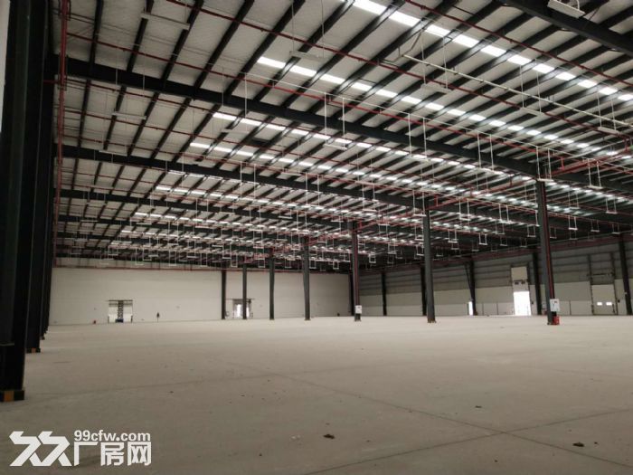 珞璜工业园B区标准库11万6千平方高库房出租-图1