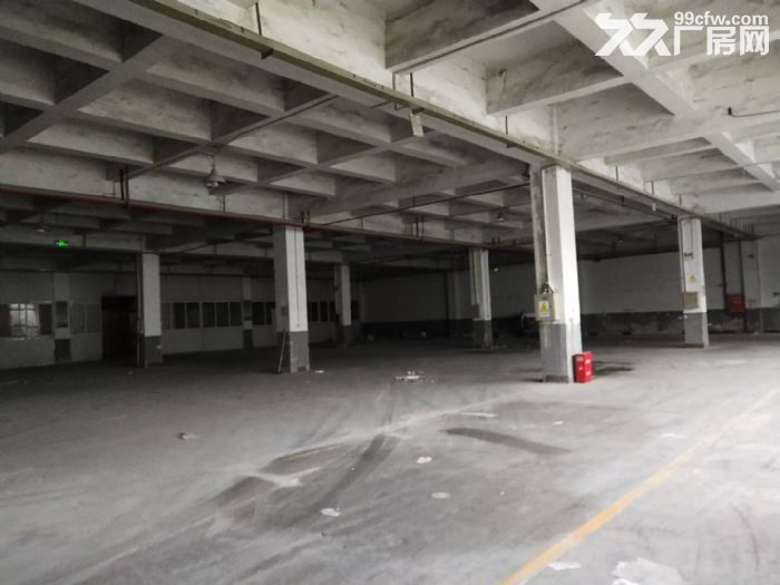 茶园新区3000平标准厂房火爆招租中-图2