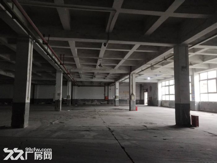 茶园新区3000平标准厂房火爆招租中-图1