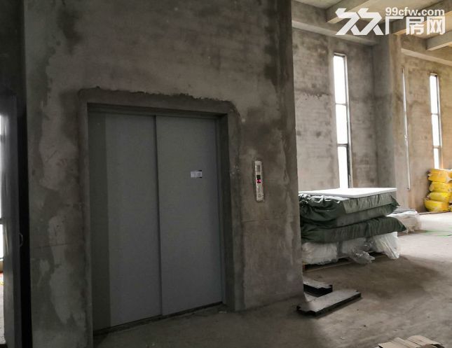 水土独栋4000平厂房低价租售-图6
