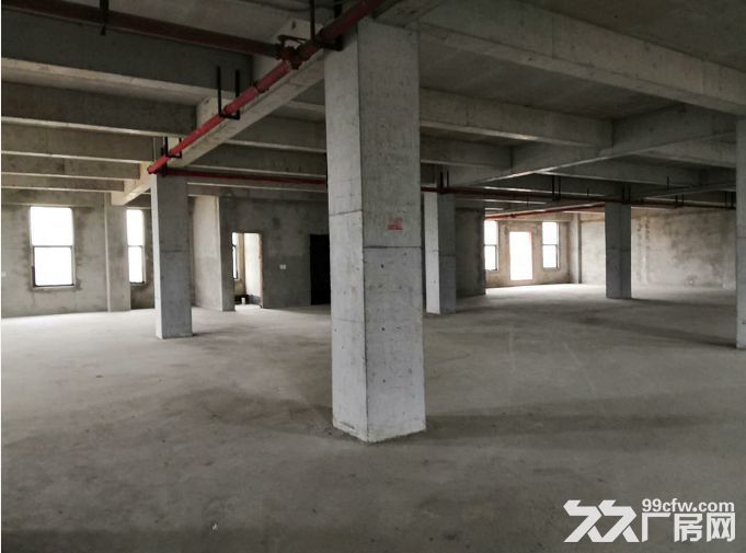 水土独栋4000平厂房低价租售-图8