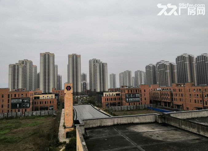 水土独栋4000平厂房低价租售-图7