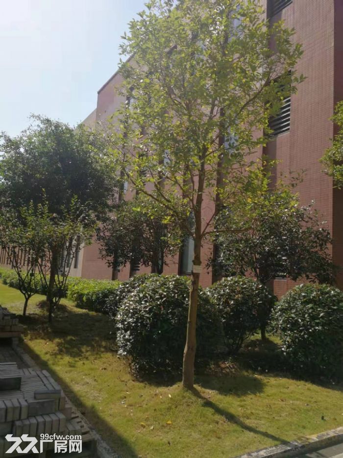 大学城厂房1500~~5000厂房出租出售-图7