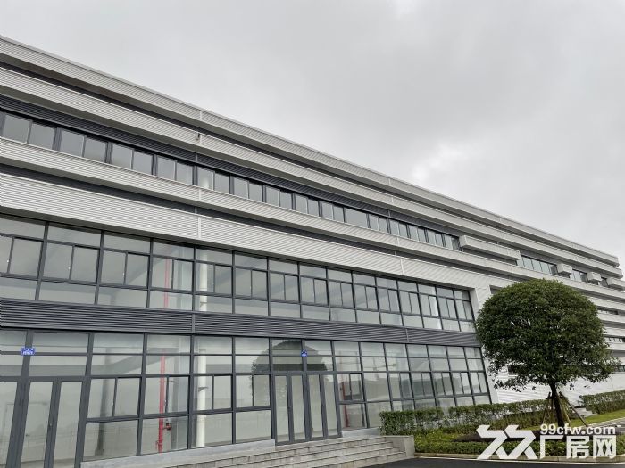 2000标准厂房招租，可按行车，可办环评，有消防！-图3