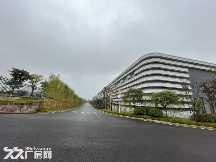 2000标准厂房招租，可按行车，可办环评，有消防！-图5