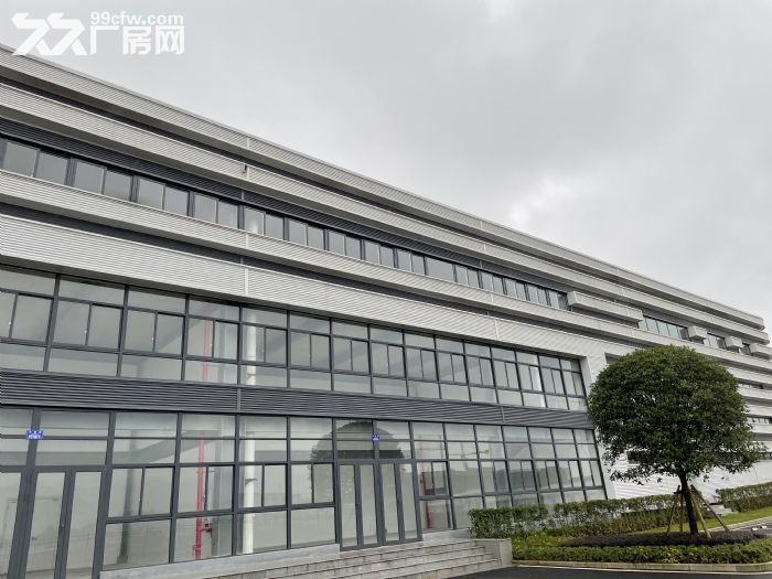 九龙坡标准行车厂房出租，可过环评，办消防！-图2