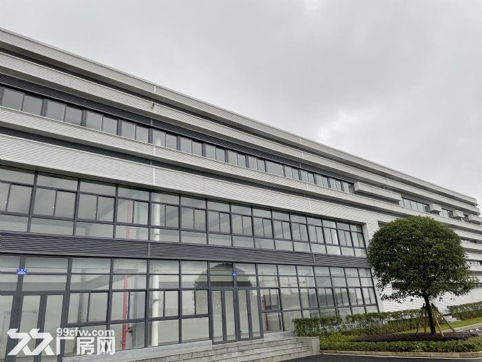 1700白市驿行业厂房出租！-图1
