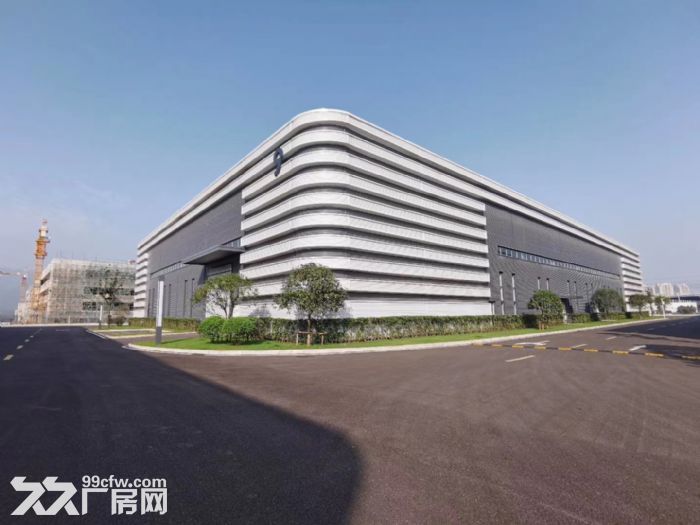 福新区标准厂房招租，适合各种无污染行业！-图1